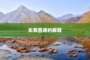 东奔西撞的解释