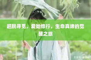 超脱寻觅，爱始修行，生命真谛的觉醒之旅