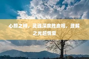 心颜之辨，灵魂深度胜皮相，理解之光超情爱
