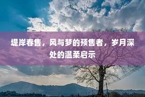 堤岸春售，风与梦的预售者，岁月深处的温柔启示