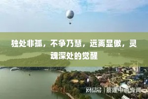 独处非孤，不争乃慧，远离显傲，灵魂深处的觉醒