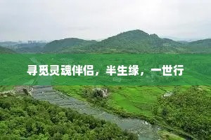 寻觅灵魂伴侣，半生缘，一世行