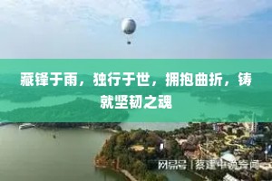 藏锋于雨，独行于世，拥抱曲折，铸就坚韧之魂