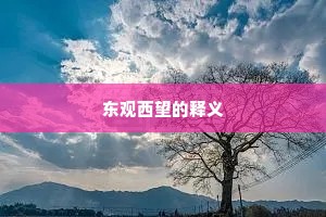 东观西望的释义