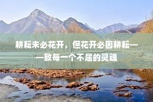 耕耘未必花开，但花开必因耕耘——致每一个不屈的灵魂