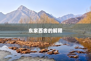 东家西舍的解释