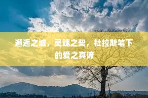 邂逅之城，灵魂之契，杜拉斯笔下的爱之真谛