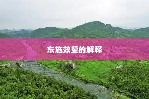 东施效颦的解释
