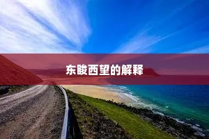 东睃西望的解释