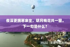 家山今夜月，起望待盘桓。的意思及出处