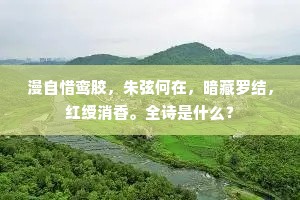 我愿千里足，不驰九折坡。的解释