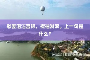 翁今有子鸣朝珂，履道坦坦平不颇。上一句是什么？
