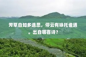破茧成蝶，以美德之光照亮尘世暗角