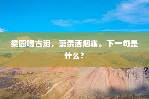 醉眼轻浮世，牢愁入暮年。上一句是什么？