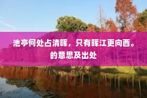 矜愚饰智的成语解释