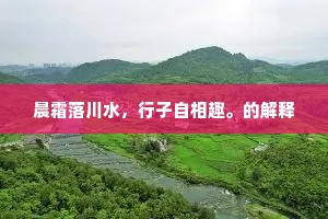星星鬓丝渐改，到中年、哀乐便无名。上一句是什么？
