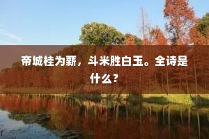 公益之心，教养之光，托尔斯泰的深邃启示
