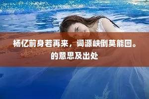 一样伤春身世，杨花不算飘零。上一句是什么？