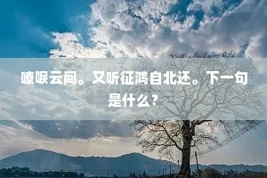 谨毛失貌的释义