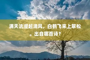 宏毅铸青春，逆境铸辉煌，青春路上的坚韧与梦想