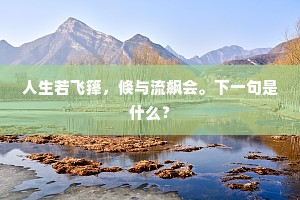 锋芒下的温柔，真才实学者，以善为骨，直抒胸臆