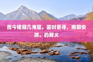 十年诵公诗，正自识孙楚。下一句是什么？