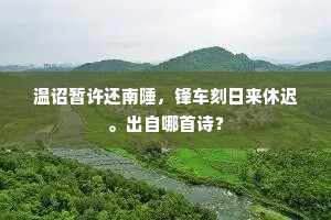 善良本性，世间最稀缺的奢侈品