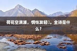 锦绣心肠的释义