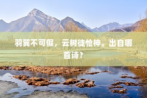 流萤点点，哀虫唧唧。抑郁谁知。的解释