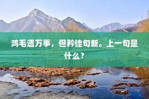 孤鸟下云间，长松昼掩关。全诗是什么？