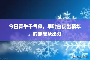 进思尽忠，退思补过的成语解释