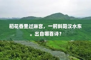 却道我家元自有，帽檐不与一枝归。全诗是什么？