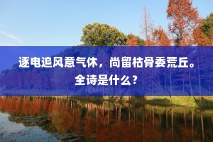 进退狼狈的成语解释