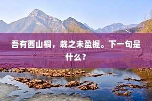 进贤进能的成语解释
