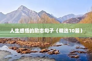 有关励志的语录（通用8篇）