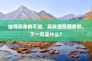 兔葵燕麦易轻脱，红药碧桃须孰何。的解释