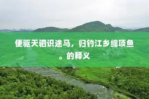 赤帝西走入咸阳，威加海内诸侯王。的意思及出处