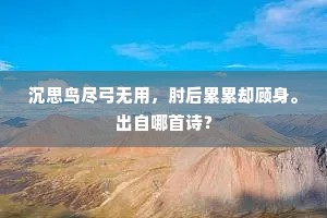 瓦文曰汉并天下，不存戒慎徒矜张。下一句是什么？