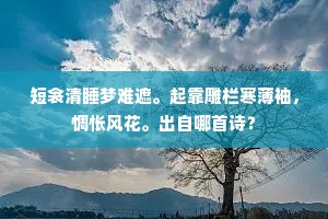 溶溶漾漾。一笛清宵响。上一句是什么？
