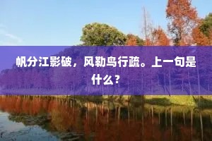 鹤盖翩然肯相顾，主人终宴岂知疲。全诗是什么？