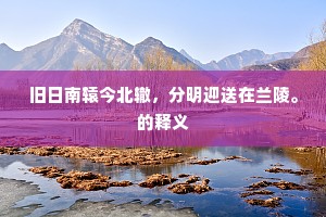 颇闻洛下传佳句，更喜嵩阳识垫巾。全诗是什么？