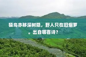 清樽已杳。只败箨催行，哀笳促别，料理放归棹。全诗是什么？