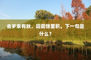 记离宫墙外，年少曾游。上一句是什么？