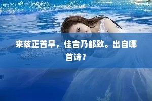 依稀认，宁王玉笛，贺老箜篌。上一句是什么？