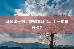 煎药编诗发兴奇，用心应许解人知。上一句是什么？