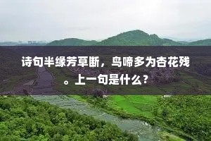 误听新燕语，倚遍栏杆午。下一句是什么？