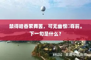 青衫百僚底，屏气不敢吐。全诗是什么？