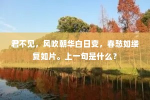 谓当哭途穷，何但折腰膂。的释义