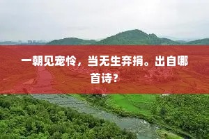 念我丘壑人，老矣事簪组。出自哪首诗？