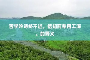 少年有尽山无尽，更乞苍山护此尸。的解释